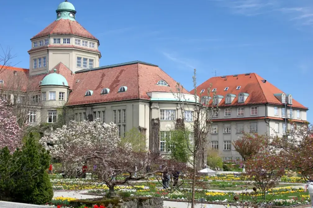 Tropische Schmetterlinge: Ausstellung im Botanischen Garten - muenchen.de