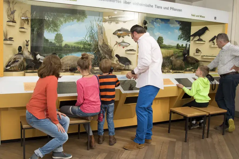 Wissenswertes über Tiere und Pflanzen im Museum Mensch und Natur