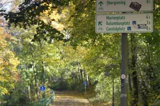 Waldweg in Obergiesing