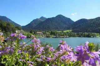 Sommer am Schliersee