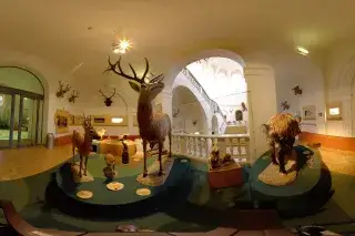 Tierpräparate im Deutschen Jagd- und Fischereimuseum Tierpräparate im Deutschen Jagd- und Fischereimuseum