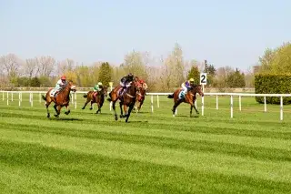 Galopp-Rennen auf der Rennbahn in Riem