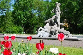 Sommer am Neptunbrunnen im Alten Botanischen Garten