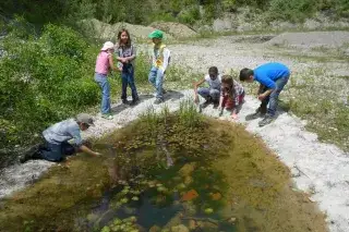 Kinder am Teich im Walderlebniszentrum Grünwald Kinder am Teich im Walderlebniszentrum Grünwald