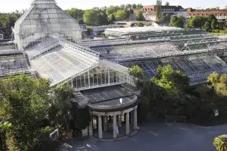 Das Gewächshaus im Botanischen Garten München Das Gewächshaus im Botanischen Garten München