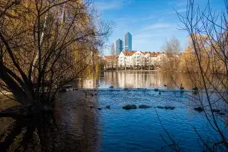 Enten schwimmen auf dem Schwabinger See