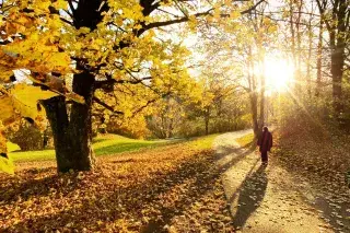 Olympiapark im Herbst