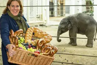 20220309_tierpark-hellabrunn-otto-geburtstag_Marc Müller Bürgermeisterin Verena Dietl gratuliert Elefantenbulle Otto zum Geburtstag