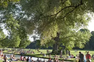 Münchner genießen die Sonne im Englischen Garten