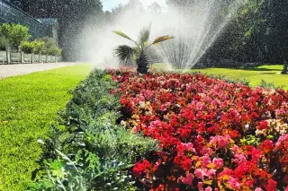 210108_nymphenburger-schlosspark-sprinkler_AnetteGöttlicher Rasensprinkler im Schlosspark Nymphenburg