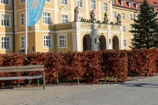 Der Luise-Kiesselbach-Platz in München.