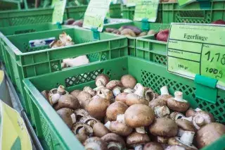 Pilze auf dem Wochenmarkt