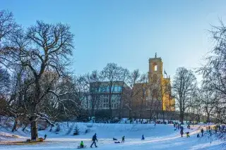 Rodeln am Landtag Rodeln am Landtag