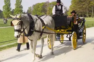 Pferdekutschfahrt im Englischen Garten