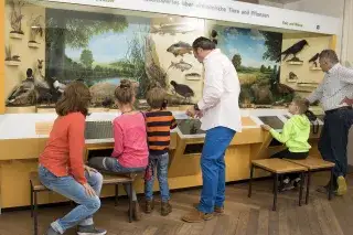 Wissenswertes über Tiere und Pflanzen im Museum Mensch und Natur Wissenswertes über Tiere und Pflanzen im Museum Mensch und Natur