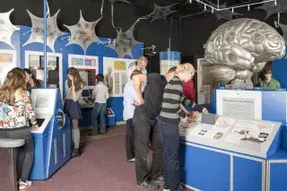 Der Ausstellungsbereich "Nerven und Gehirn" im Museum Mensch und Natur