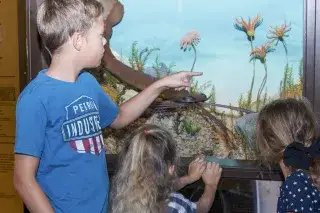 Kinder im Museum Mensch und Natur