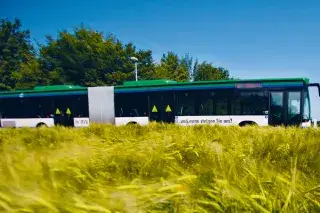 Ein grün-blauer Bus der MVV fährt bei blauem Himmel auf einer Straße an einem Kornfeld vorbei