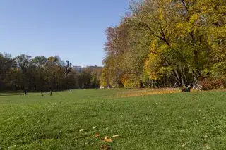 Bavariaparkwiese im Herbst