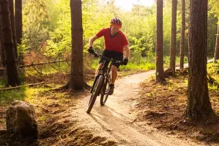 Mit dem Mountainbike durch den Wald