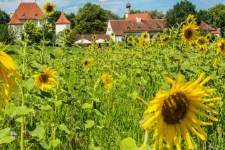 Schloss Blutenburg im Sommer Schloss Blutenburg im Sommer