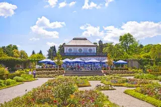 Im Sommer blüht es wunderschön im Botanischen Garten