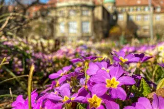 Botanischer Garten im Frühling