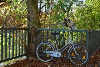 Ein Fahrrad im Herbstlaub an der Isar