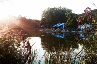 Gans am Wasser im Westpark