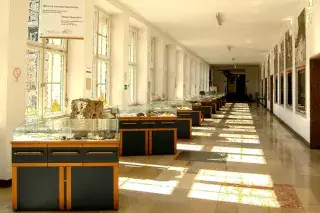 Sonne scheint durch die Fenster in das Geologische Museum Sonne scheint durch die Fenster in das Geologische Museum
