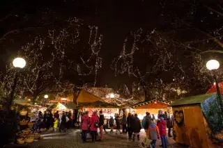 Lichterketten an den Ästen beim Haidhauser Weihnachtsmarkt auf dem Weißenburger Platz