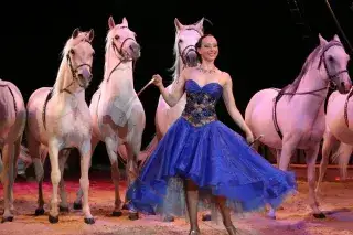 Stolze Pferde in der Manege des Circus Krone