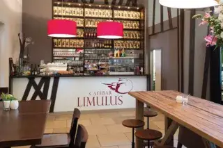 Die CaféBar Limulus im Museum Mensch und Natur