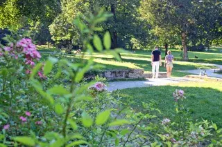Sommer im Luitpoldpark in Schwabing Sommer im Luitpoldpark in Schwabing