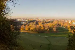 20201230_Spaziergaenge_Herbst Luitpoldpark