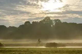 Jemand fährt auf seinem Fahrrad durch den Nebel im Englischen Garten.