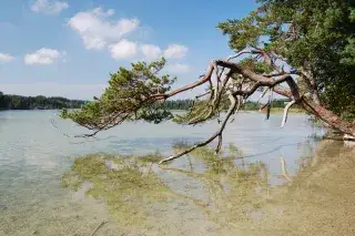 Die Osterseen südlich des Starnberger Sees