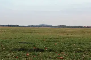 Panzerwiese in Am Hart