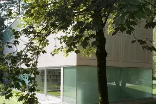 Ein Baum vor der Sammlung Goetz Ein Baum vor der Sammlung Goetz
