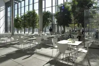 Das helle Café in der Pinakothek der Moderne hat eine große Glasfront