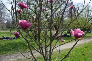 Entspannung im Rosengarten Entspannung im Rosengarten
