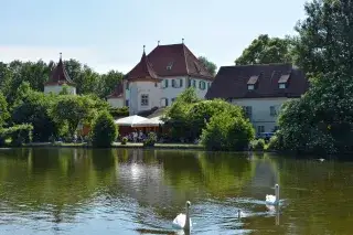 Schwäne vor Schluss Blutenburg