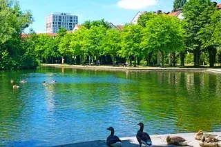 Entspannung mitten in der Stadt am Ufer des Schwabinger Sees