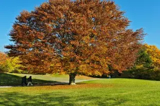 Ostpark im Herbst