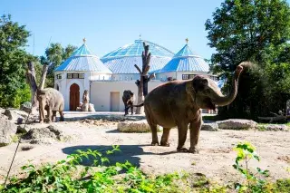 Das fertig gestellte Elefantenhaus im Tierpark Hellabrunn Das fertig gestellte Elefantenhaus im Tierpark Hellabrunn