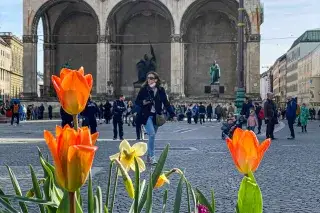 Blumen im Frühling