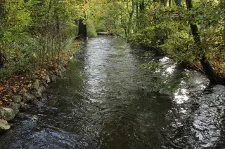 201128_wuerm_allach_brunner Würm, Fluss in Allach
