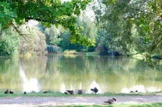 Zamila Park in Bogenhausen