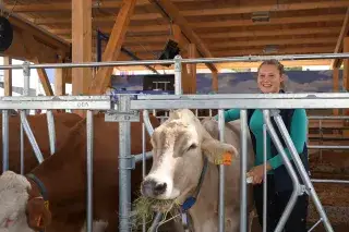 Landwirtschaftsfest