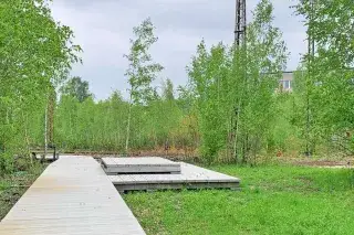 Blick in den Landschaftspark Berg am Laim